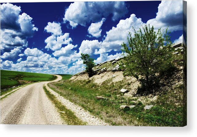 Kansas Acrylic Print featuring the photograph Curving Gravel Road by Eric Benjamin