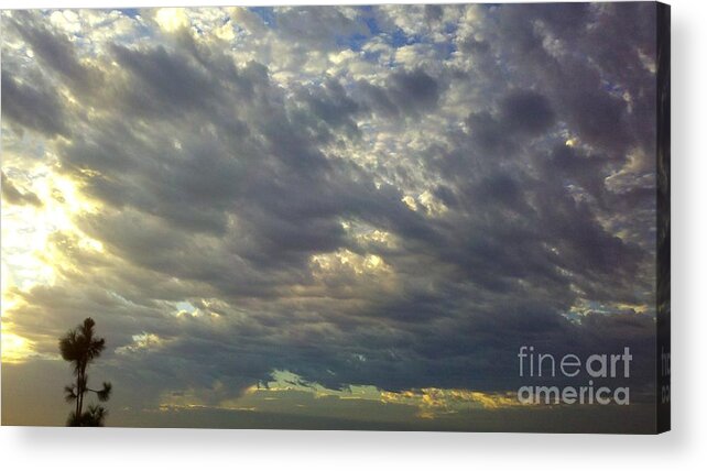 Sunrise Acrylic Print featuring the photograph Down Blanket by Tracy Evans