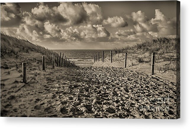 Beach Acrylic Print featuring the photograph Dutch Beach in Sepia by Alex Hiemstra