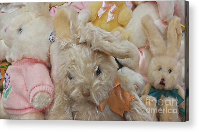 Easter Acrylic Print featuring the photograph Easter Bunnies by Benanne Stiens