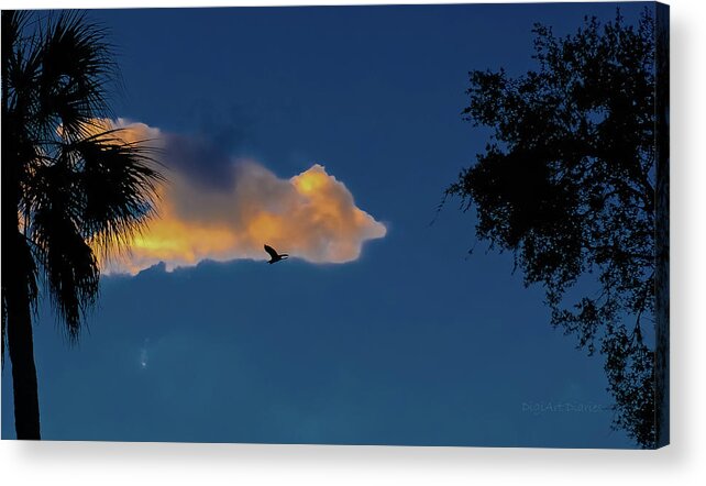 Sunset Acrylic Print featuring the photograph Egressing Egret by DigiArt Diaries by Vicky B Fuller