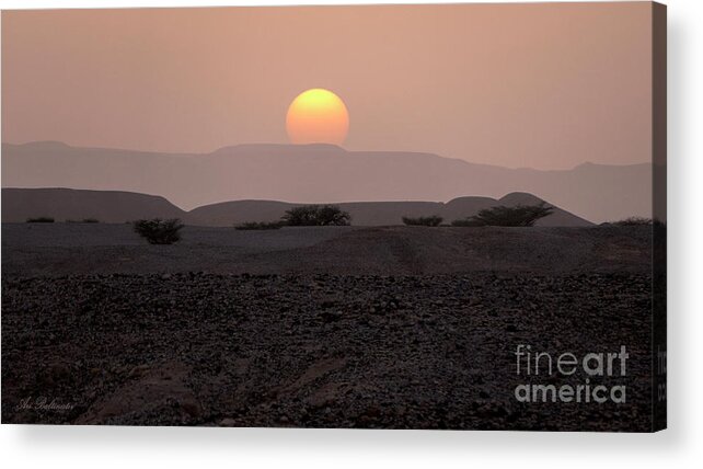Sunset Acrylic Print featuring the photograph Evening falls on the prairie by Arik Baltinester