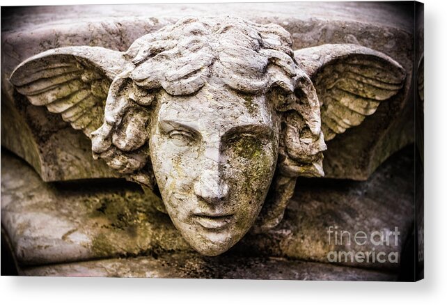 Angel Acrylic Print featuring the photograph Face of an Angel by Colleen Kammerer