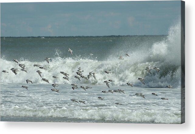 North Wildwood Acrylic Print featuring the photograph Fall at the Shore #1 by Greg Graham