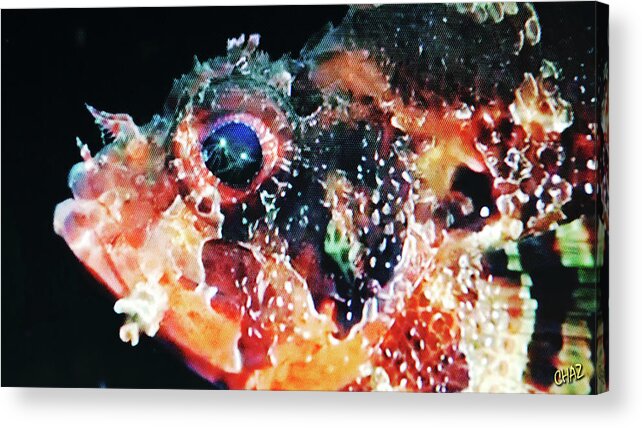 Fish Acrylic Print featuring the digital art Fish Story by CHAZ Daugherty