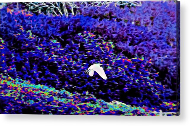 Flight Acrylic Print featuring the photograph Flight 1 In Abstract by Kristalin Davis