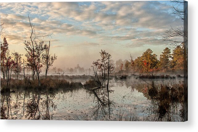 Landscape Acrylic Print featuring the photograph Foggy Morning in the Pines by Louis Dallara