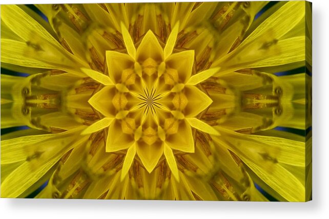 Digital Art Acrylic Print featuring the digital art Fractal 10 by Belinda Cox