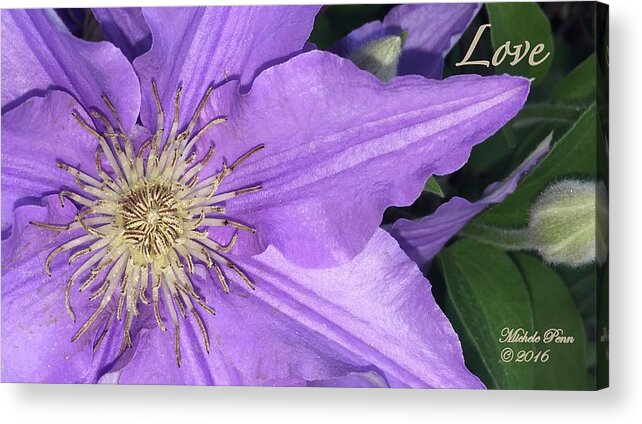 Mug Acrylic Print featuring the photograph Giving Love by Michele Penn