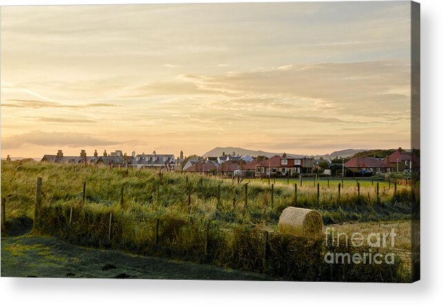 Countryside Landscape Acrylic Print featuring the photograph Golden Evening. by Elena Perelman