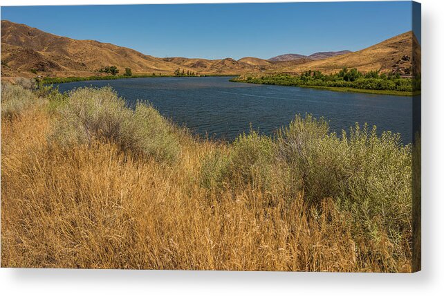 Snake River Acrylic Print featuring the photograph Golden Grasses along the Snake River by Brenda Jacobs