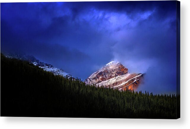 Golden Acrylic Print featuring the photograph Golden Nugget by John Poon