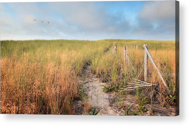 The Cape Cod National Seashore Acrylic Print featuring the photograph Golden Trail by Bill Wakeley