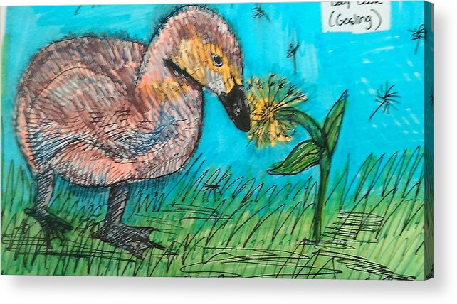 Markers Acrylic Print featuring the mixed media Gosling by Andrew Blitman