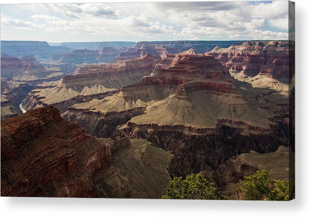 Grand Acrylic Print featuring the photograph Grand Canyon by Jennifer Ancker