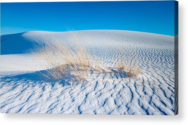 White Sands New Mexico Acrylic Print featuring the photograph Grass and Dunes by Joseph Smith