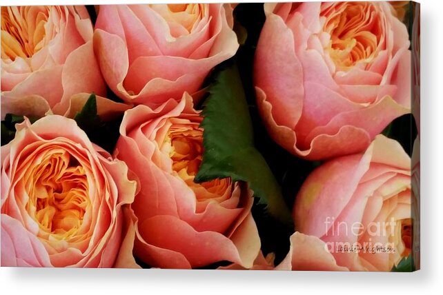 Roses Acrylic Print featuring the photograph Gratitude by Lainie Wrightson