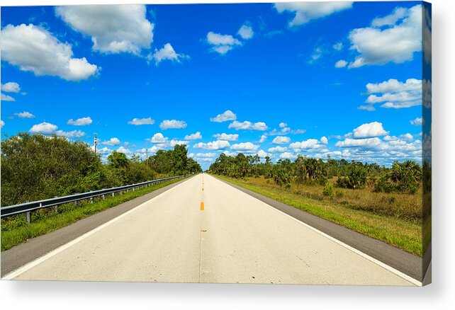 Everglades Acrylic Print featuring the photograph Highway 41 by Raul Rodriguez