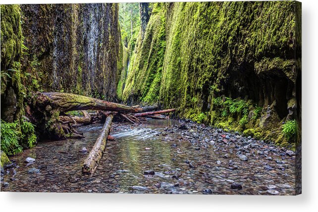 Oneonta Acrylic Print featuring the photograph Hiking Oneonta Gorge by Pierre Leclerc Photography