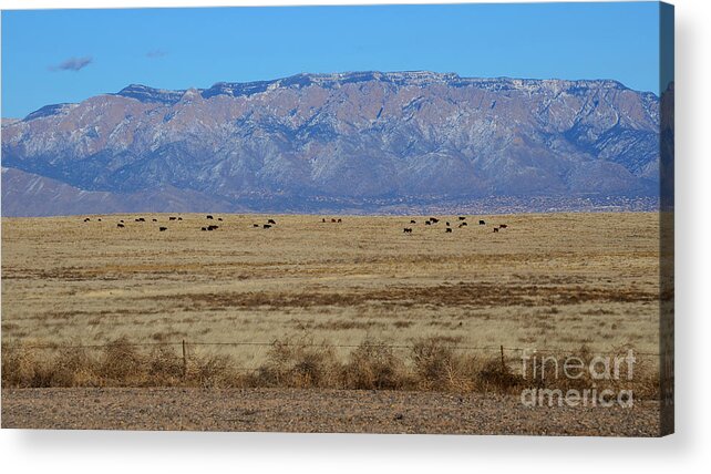 Southwest Landscape Acrylic Print featuring the photograph Home on the range by Robert WK Clark