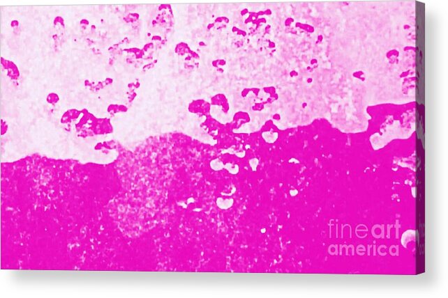 Image Acrylic Print featuring the photograph Hot Pink Liquid by Rachel Hannah