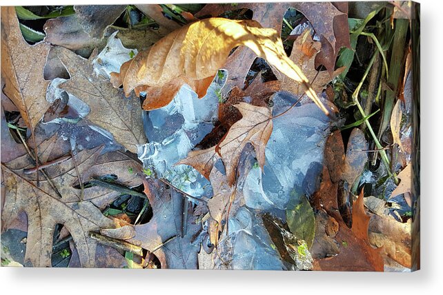 Composition Acrylic Print featuring the photograph Ice and Fallen Leaves by Lynn Hansen