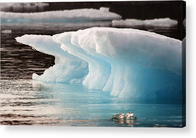 Iceberg Acrylic Print featuring the photograph Ice Bears by Elisabeth Van Eyken