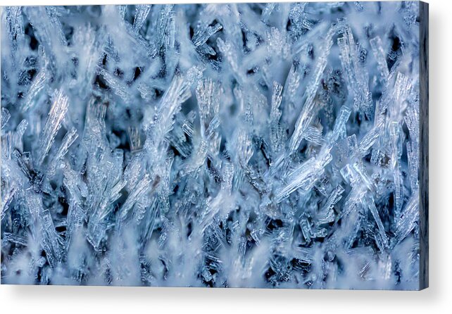 Macro Acrylic Print featuring the photograph Ice Grass Growing by Rainer Kersten