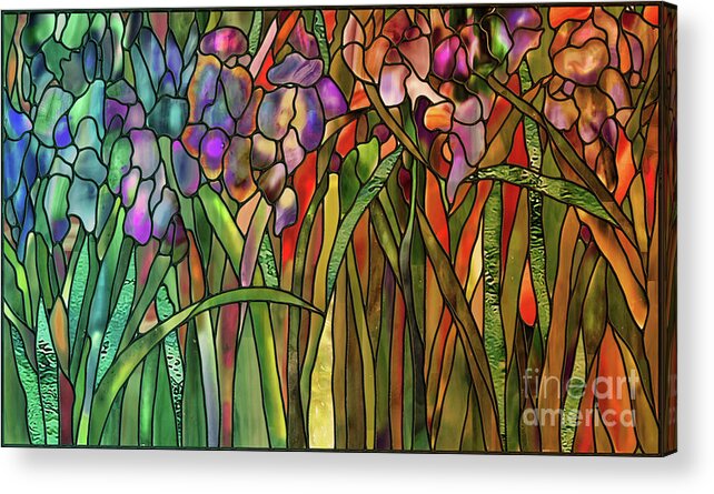 Stained Glass Acrylic Print featuring the painting Iris Coloring Book by Mindy Sommers