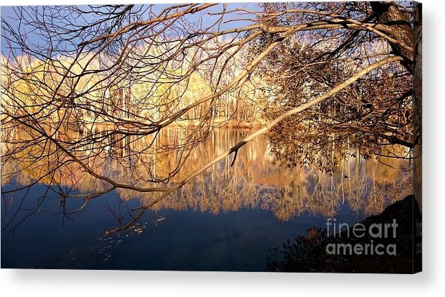 Beauty Acrylic Print featuring the digital art Irresistable Beauty by Peter R Nicholls