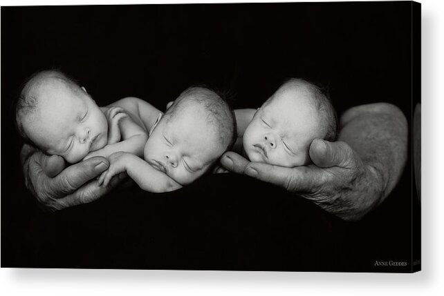 Black And White Acrylic Print featuring the photograph Jack and the Triplets by Anne Geddes