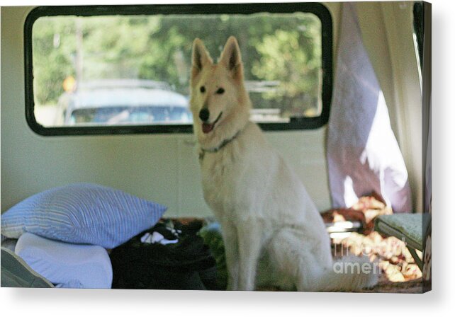 Acrylic Print featuring the photograph Jane riding in the bus camping at Cape Lookout by Margaret Hood