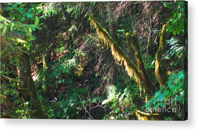 Ketchikan Acrylic Print featuring the photograph Ketchikan Green by Laurianna Taylor