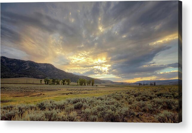 Yellowstone Acrylic Print featuring the photograph Lamar Valley Sunset by Eilish Palmer