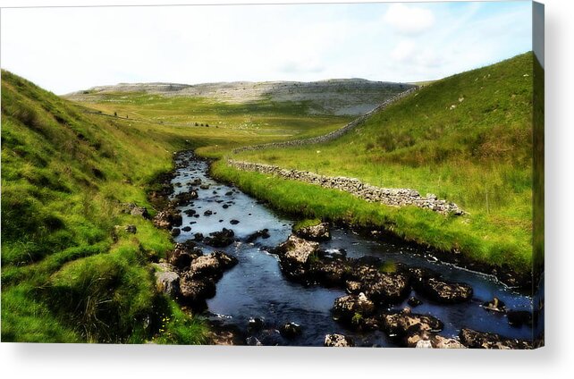 River Acrylic Print featuring the photograph Landscape by Lukasz Ryszka