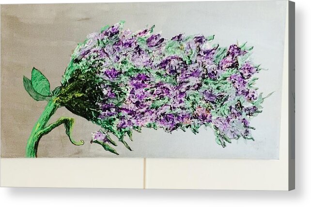 Lilac Acrylic Print featuring the painting Big Lilac by Kenlynn Schroeder