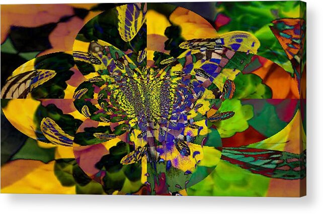 Flowers Acrylic Print featuring the photograph Madam B Fly by Maria Wall