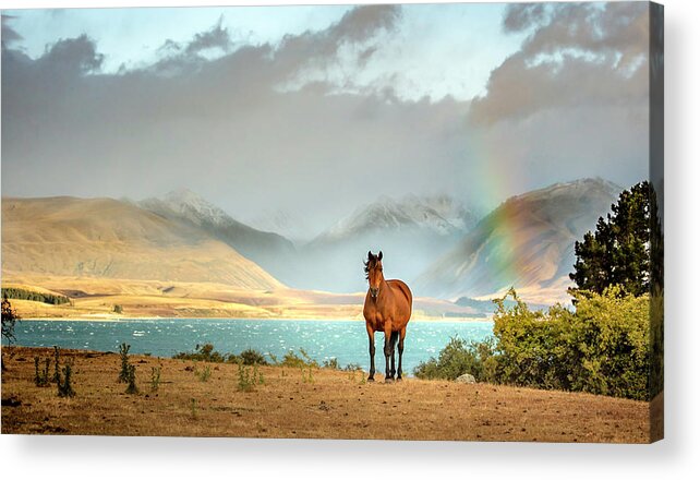 New Zealand Acrylic Print featuring the photograph Magical Tekapo by Chris Cousins