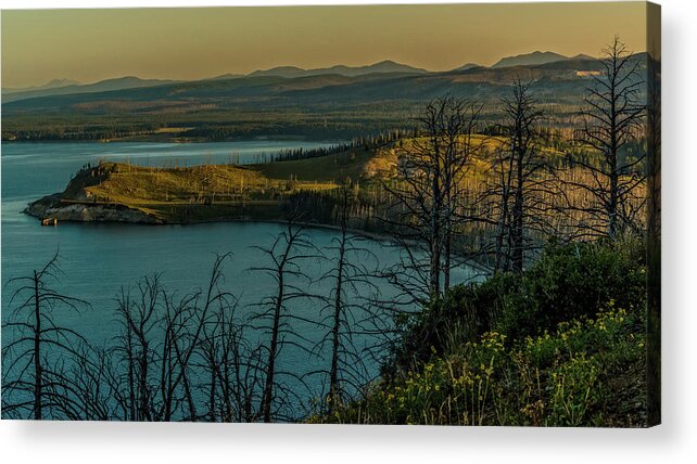 Mary Baby Acrylic Print featuring the photograph Mary Bay At Dawn by Yeates Photography