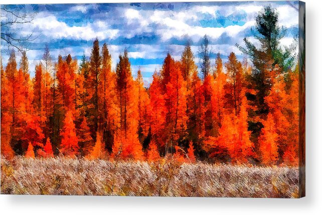 Autumn Acrylic Print featuring the digital art Mer Bleue Landscape by Jean-Marc Lacombe