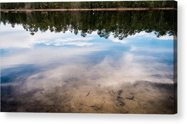 Fall Acrylic Print featuring the photograph Metamorphosis by Glenn DiPaola