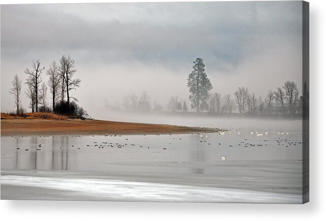 Waterfowl Acrylic Print featuring the photograph Migration at Rest by Whispering Peaks Photography