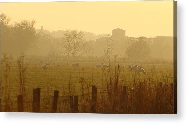 Misty Acrylic Print featuring the photograph Misty Farm Sunset by Adrian Wale