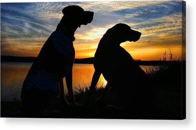 German Shorthaired Pointers Acrylic Print featuring the photograph Mol and Mil at Mauthe Lake by Brook Burling