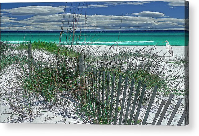 Nature Acrylic Print featuring the photograph Morning on the Beach by Phil Jensen