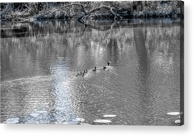Mother Acrylic Print featuring the photograph Mother And Children.BW #e9 by Leif Sohlman