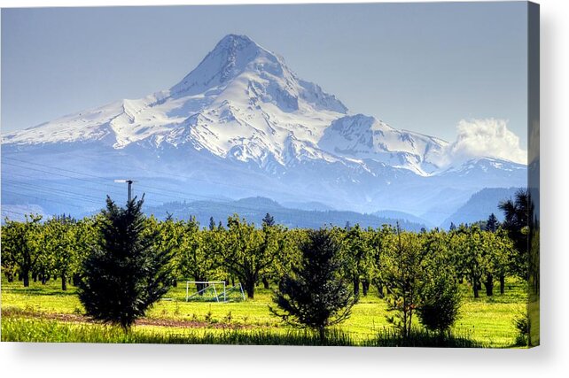 Mount Hood Oregon Usa Acrylic Print featuring the photograph Mount Hood Oregon USA by Paul James Bannerman