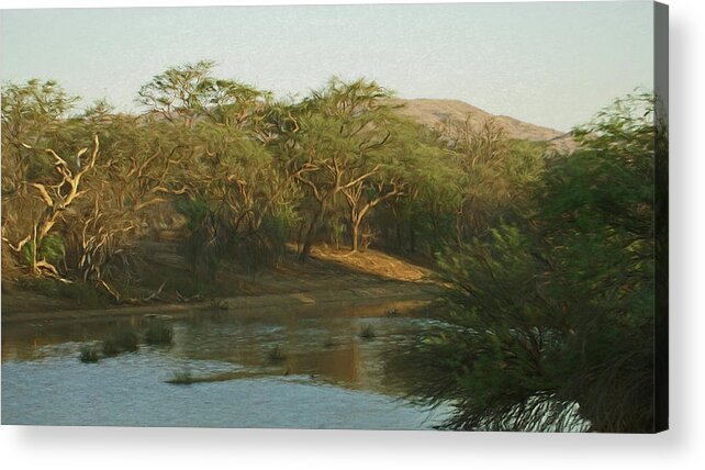 Africa Acrylic Print featuring the digital art Namibian Waterway by Ernest Echols