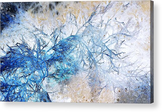 Surreal-nature-photos Acrylic Print featuring the digital art Seaweed I.C. by John Hintz