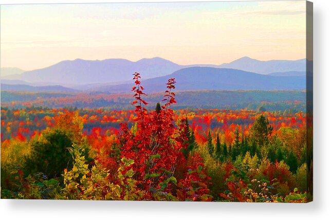 Autumn Acrylic Print featuring the photograph National Scenic Byway by Mike Breau